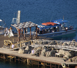 Glass Bottom Boat